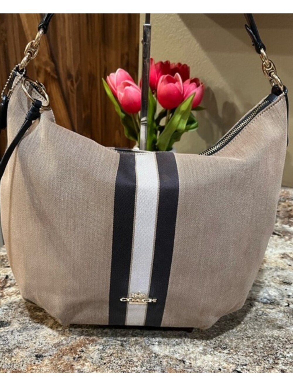 Coach Skylar Hobo Bag with Varsity Stripe - MRSP $398 - Picture 11 of 13